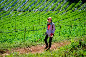 BIB: 
                            <button type="button" onclick="openModal(19164206)" class="btn btn-primary btn-sm float-right btn-popup" data-toggle="modal" data-target=".modal-high-quality">
                        <i class="fas fa-shopping-cart"></i> Add to Cart
                    </button>
                                            <button type="button" onclick="isThisMe(19164206, true)" class="btn btn-success btn-sm float-right btn-popup btn-isme hidden" data-toggle="tooltip" data-placement="bottom" title="นี่คือรูปของคุณใช่ไหม คลิกที่นี่เพื่อเอาเข้าอัลบั้ม">
                        <i class="fas fa-plus"></i> Add to album
                    </button>
                    <button type="button" onclick="isThisMe(19164206, false)" class="btn btn-warning btn-sm float-right btn-popup btn-isnotme hidden">
                        <i class="fas fa-ban"></i> Remove from album
                    </button>